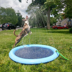 Piscina Inflável para Pets - Inova Mix Store Piscina Inflável para Pets